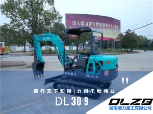 DL30-9小型挖掘機